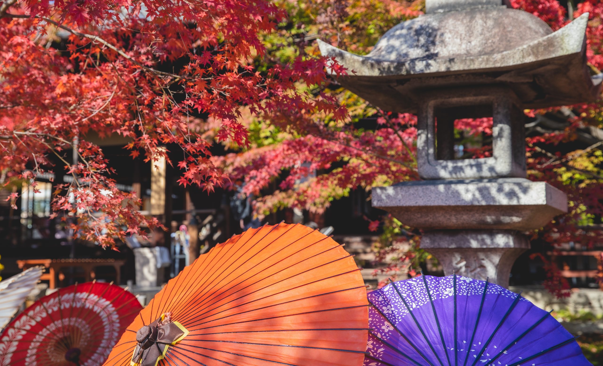 hanabi-automne-homepage