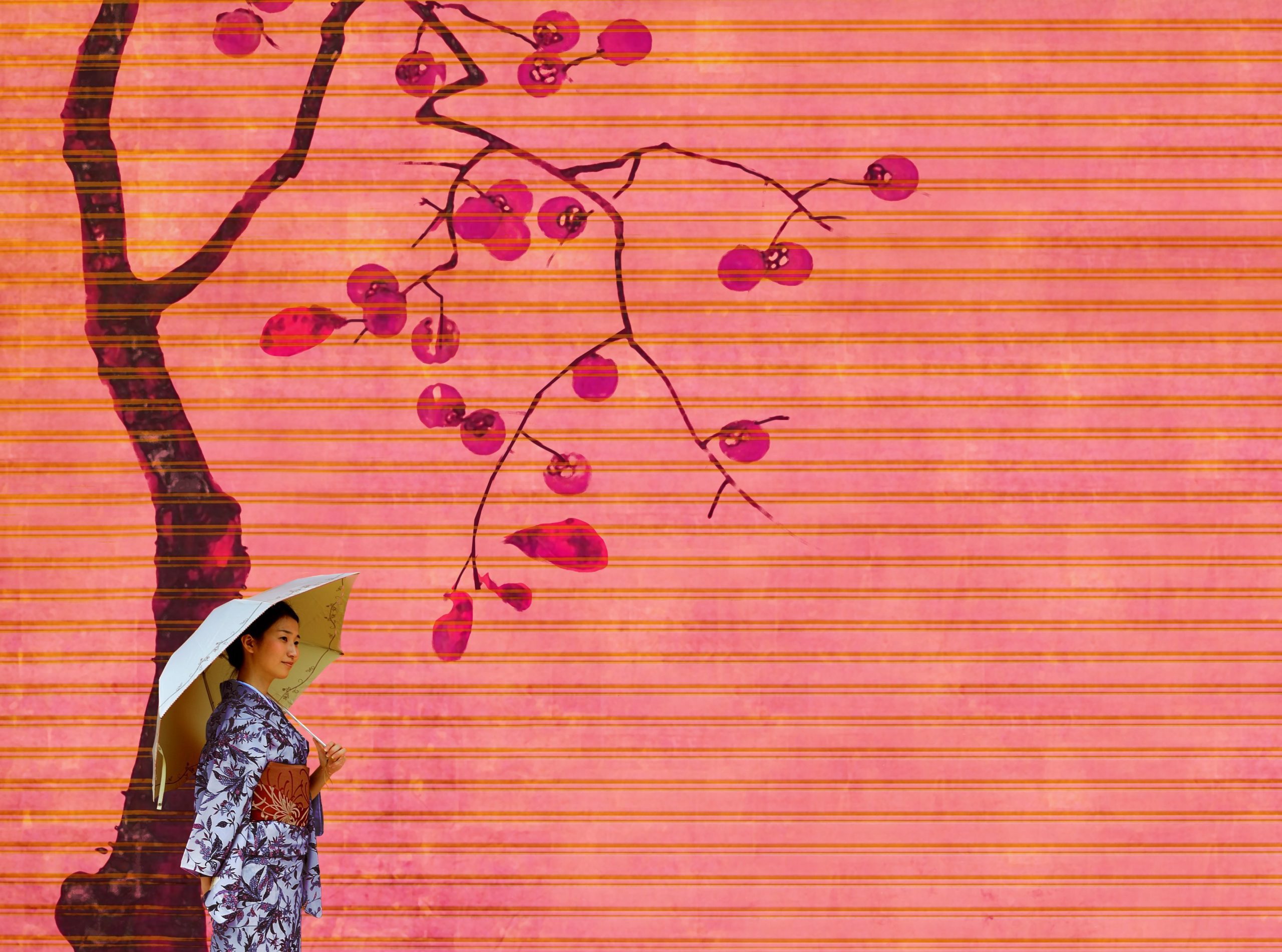 LES SAISONS HANABI PRINTEMPS 2023