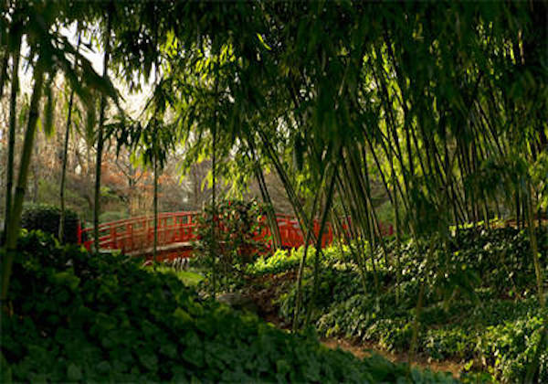 Jardins japonais du musée Albert-Kahn