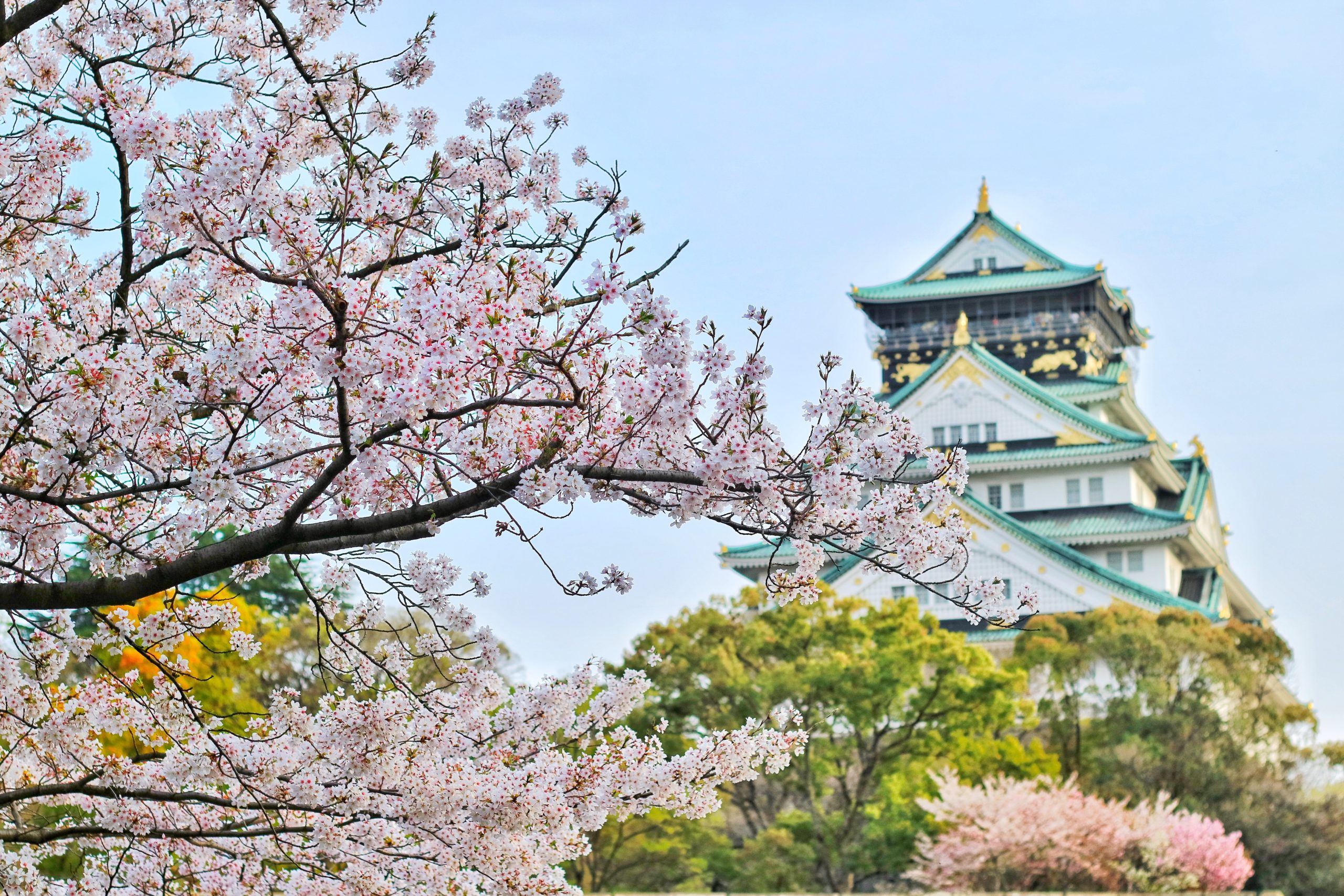 GAGNEZ UN VOYAGE AU JAPON