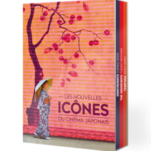 coffret-nouvelles-icones