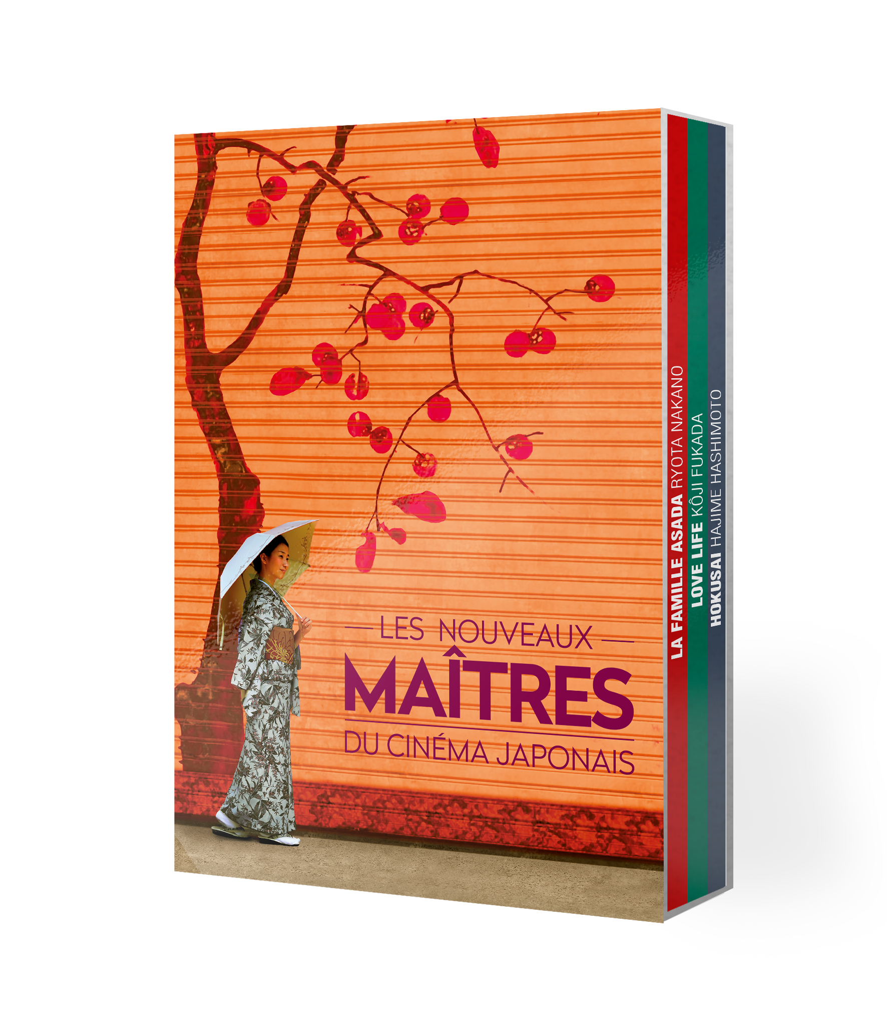 coffret les nouveaux maitres du cinéma japonais