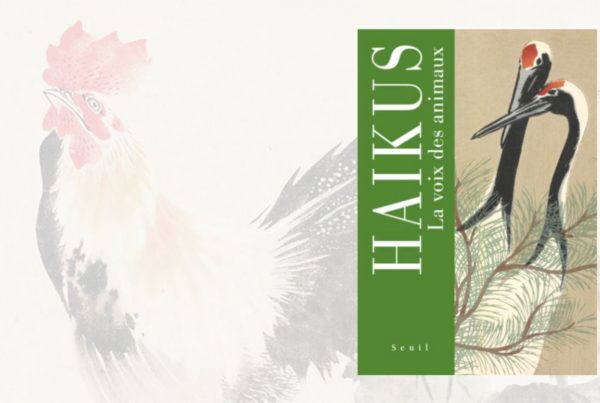 haiku la voix des animaux livre