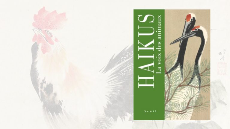haiku la voix des animaux livre