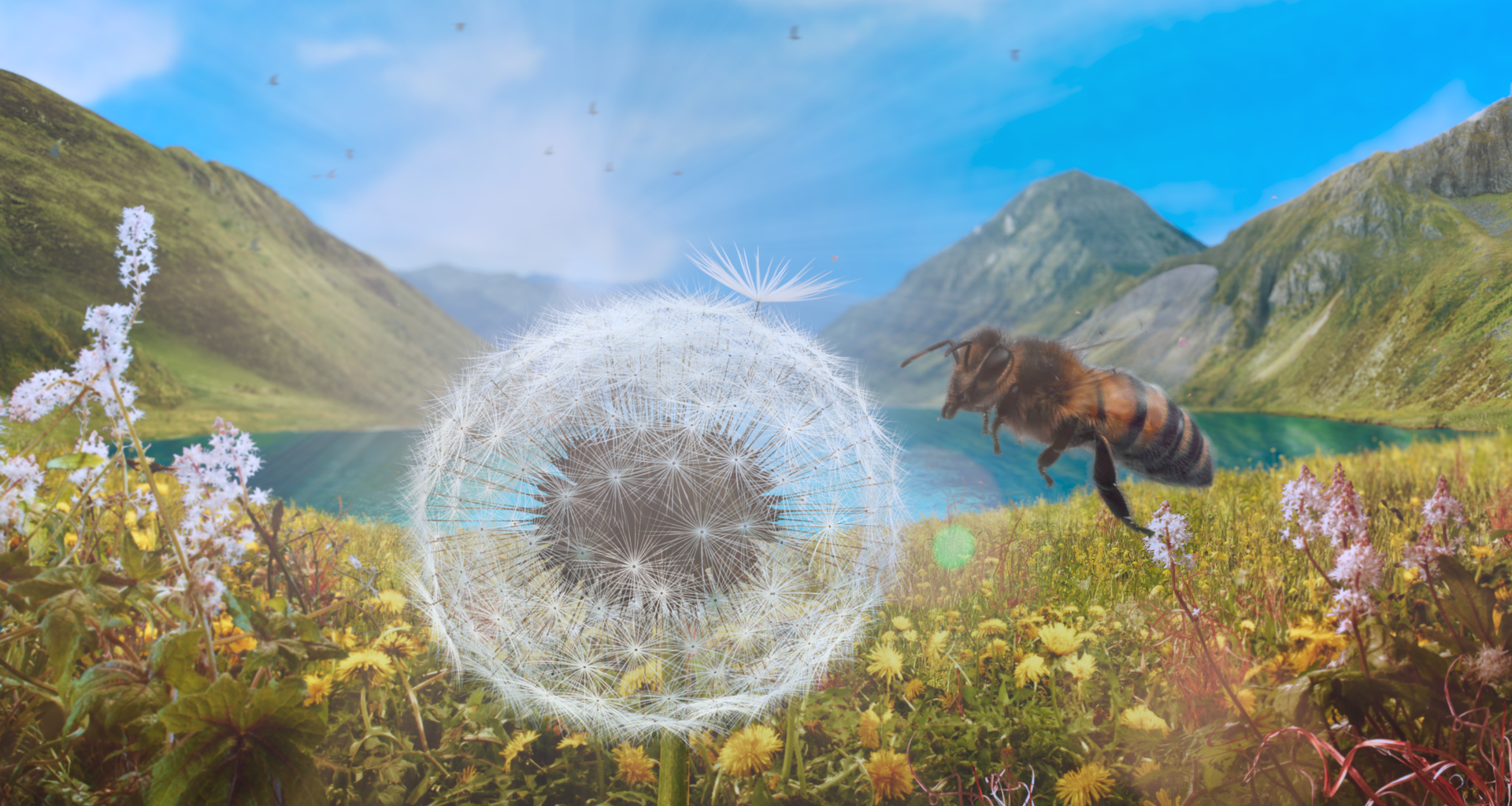 PLANÈTES | L’AVIS D’HANABI